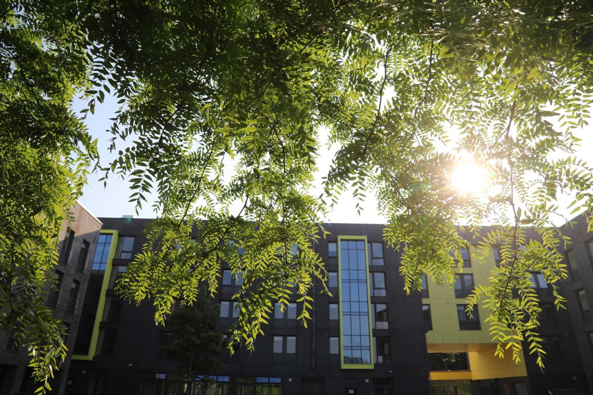 Goldcrest Village Apartments University Of กัลเวย์ ภายนอก รูปภาพ